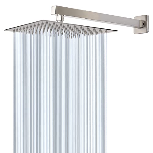 Shower Head with Extension Arm