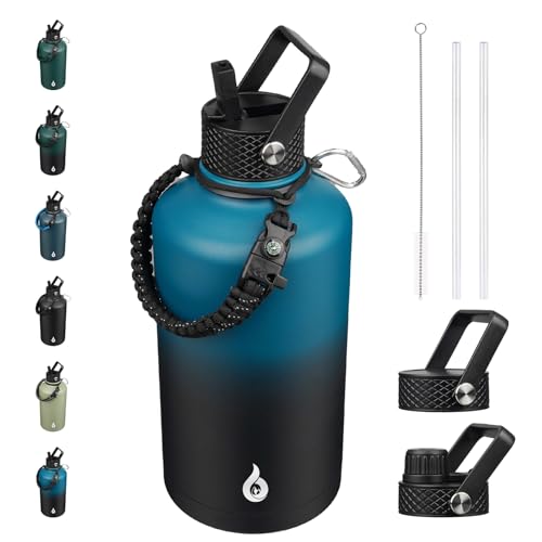 87oz Insulated Water Bottle with Straw Lid Stainless Steel Water Jug