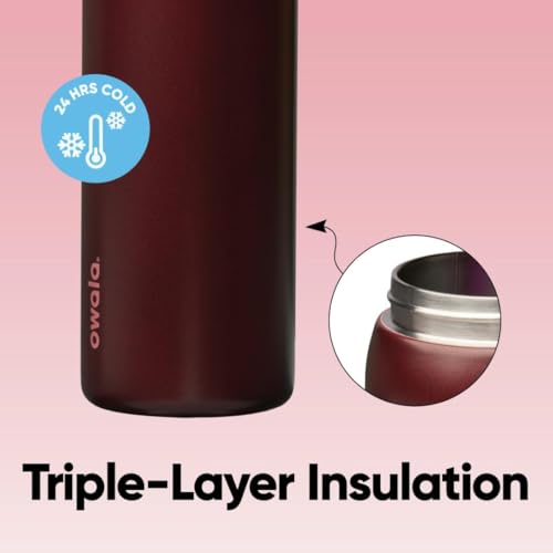 FreeSip Stainless Steel Water Bottle 32 oz Black Cherry