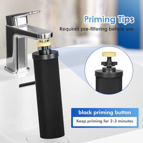 Black Purification Elements (2 Count)