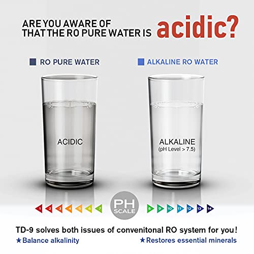 TD 9 Alkaline Remineralization Under Sink Inline Water Filter