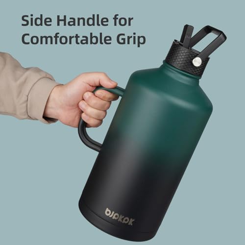87oz Insulated Water Bottle with Straw Lid Stainless Steel Water Jug