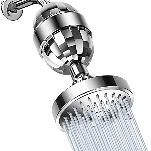 Handheld Shower Head Set with Filter