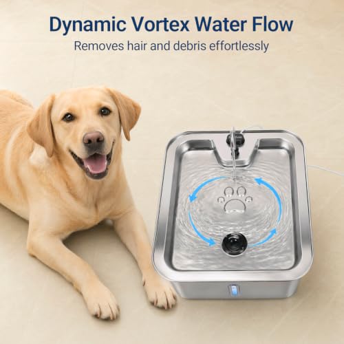 Cat Large Dog Water Fountain