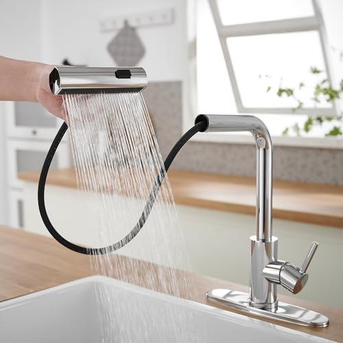 Kitchen Faucets with Pull Down Sprayer