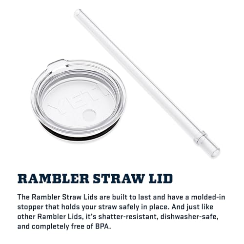 Rambler 25 oz Tumbler with Handle and Straw Lid