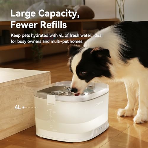 Pumpless Dog Water Elfin Fountain