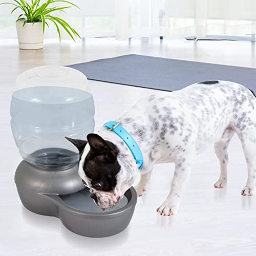 Pet Fountain Charcoal Water Filter Replacement (12 Count)