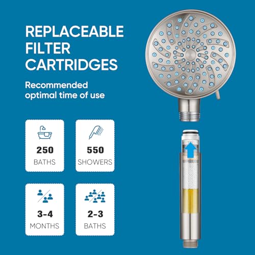 Filtered Shower Head with Handheld