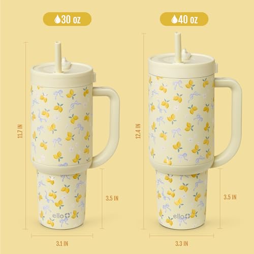 Oasis 30oz Insulated Stainless Steel Tumbler with Straw