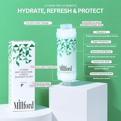 Vitamin C Shower Filter