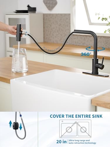 Kitchen Faucets with Pull Down Sprayer