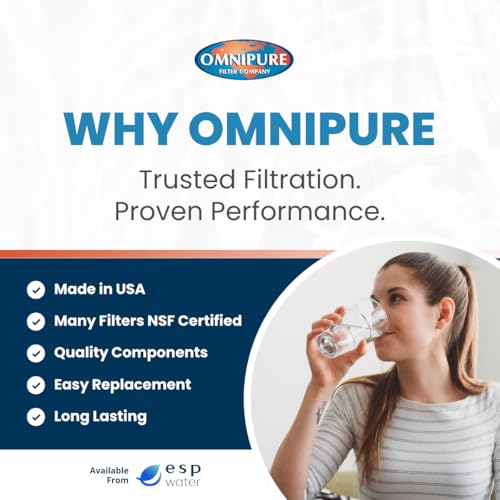 Omnipure Q5605 Sediment Filter