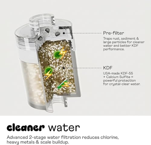 Handheld Showerhead