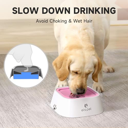 Dog Water Bowl 1L