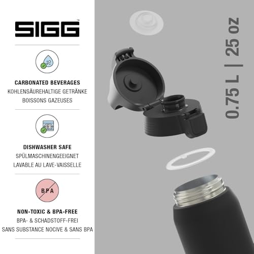 Insulated Water Bottle