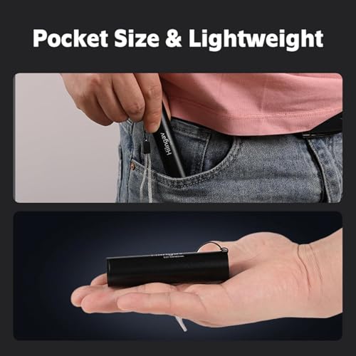 10 Pack Rechargeable Black Flashlight Small UV Black Flash Light 395 NM (10 Count)