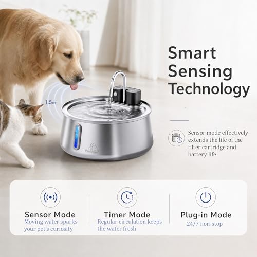 Dog Water Fountain