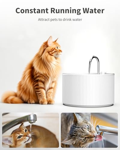 Ceramic Cat Water Fountain