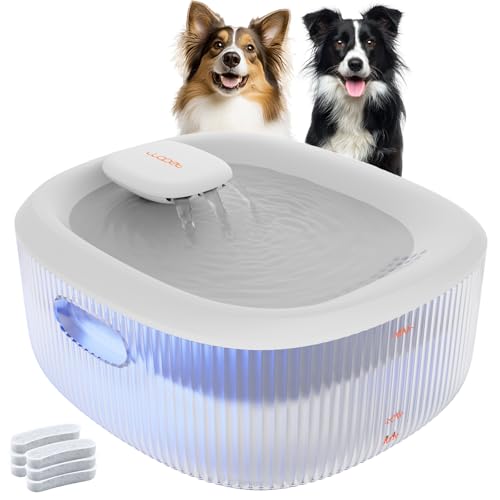 Dog Water Fountain for Large Dogs