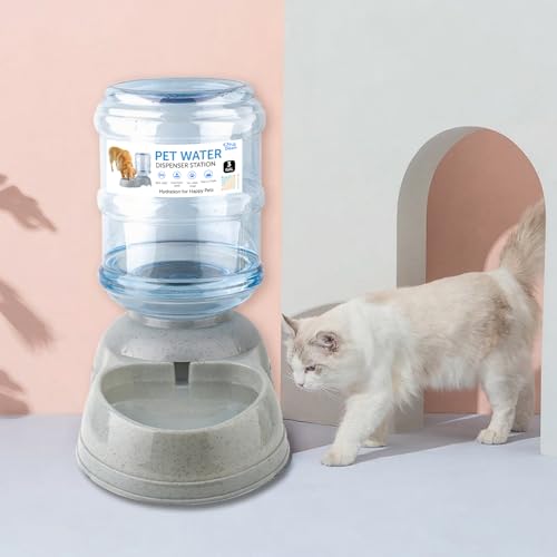3 Gallon Large Dog Water Dispenser