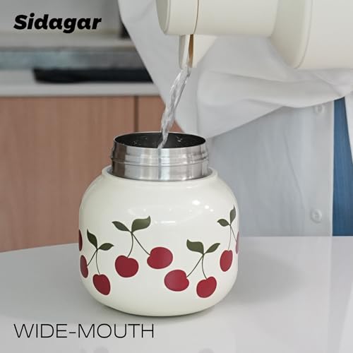 22 oz Insulated Stainless Steel Water Bottle with Handle