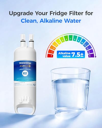 W10295370A Refrigerator Water Filter (2 Count)