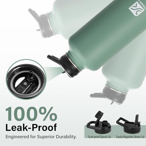 Insulated Water Bottle