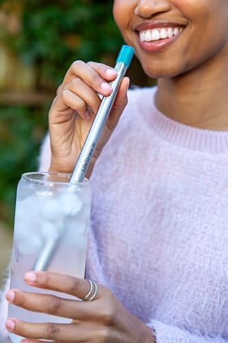 Sip Reusable Stainless Steel Water Filter Drinking Straw with Carry Case