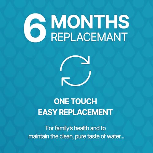GB2 DW2053FR 10 Premium Refrigerator Water Filter (3 Count)