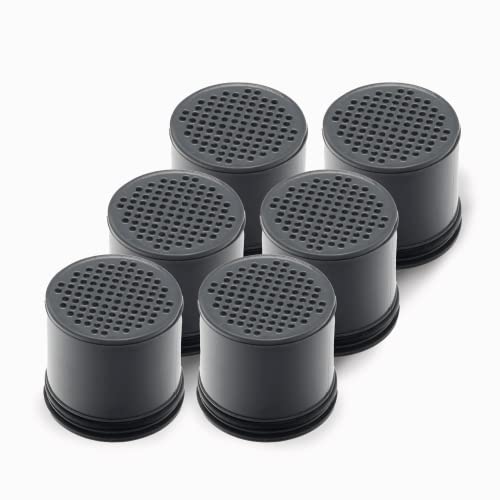 Go Series Water Bottle Filter Replacement (6 Count)