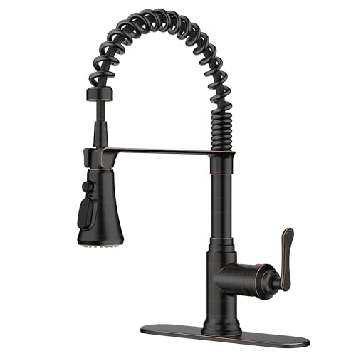 Rustic Kitchen Faucet with Pull Down Sprayer