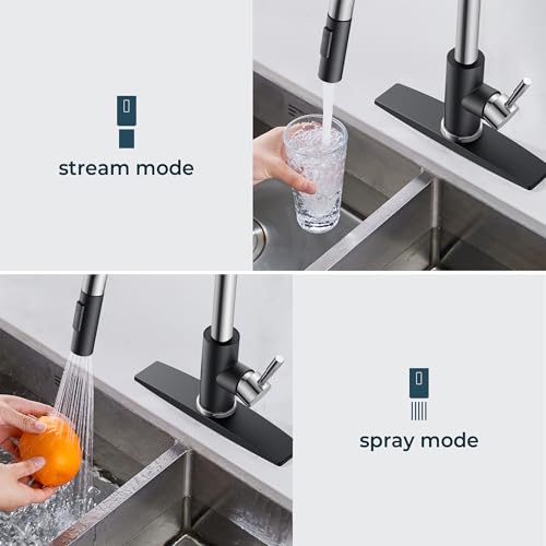 Kitchen Sink Faucet with Pull Down Sprayer