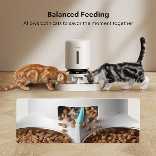 Automatic Cat Feeder with Camera for Two Cats