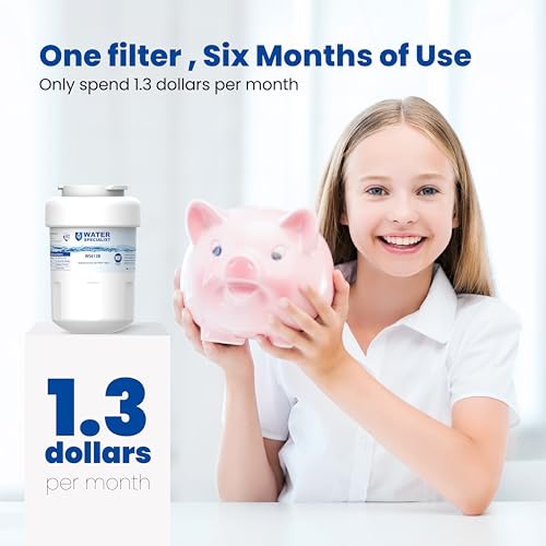 WS613B Water Filter (4 Count)
