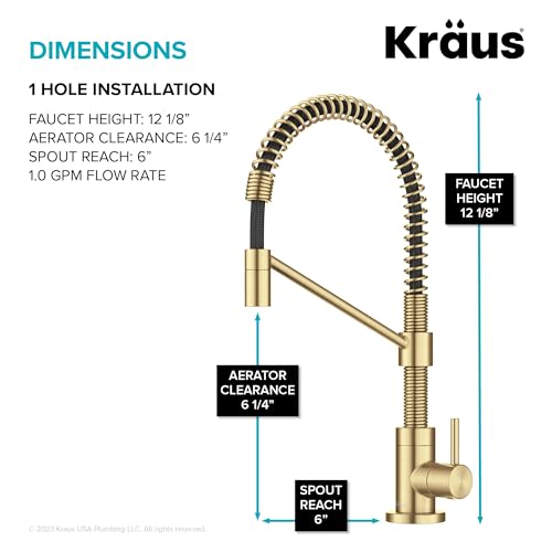 Bolden Single Handle Drinking Water Filter Faucet for Reverse Osmosis or Water Filtration System in Brushed Brass