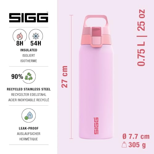 Insulated Water Bottle