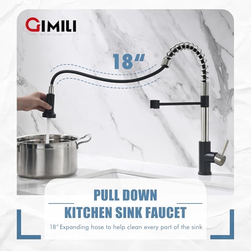 Kitchen Faucet with Pull Down Sprayer Nickel and Black