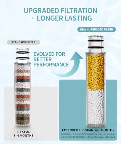 Shower Filter for Handheld Shower Head