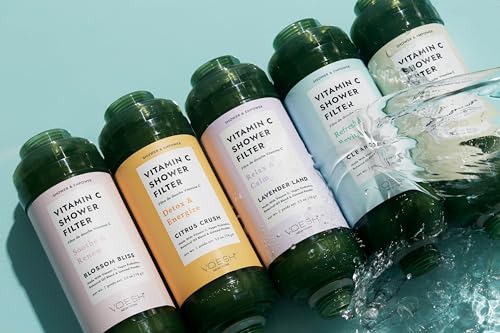 Vitamin C Shower Filter