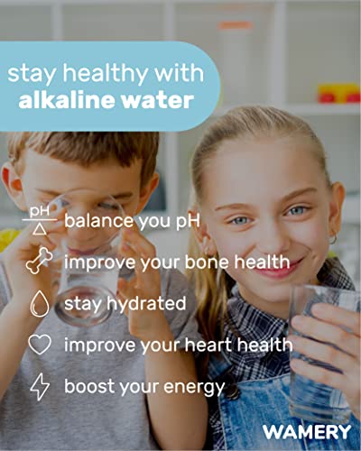 Alkaline Refrigerator Water Filter Replacement