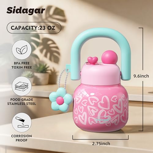 22 oz Tote Insulated Water Bottle with Handle