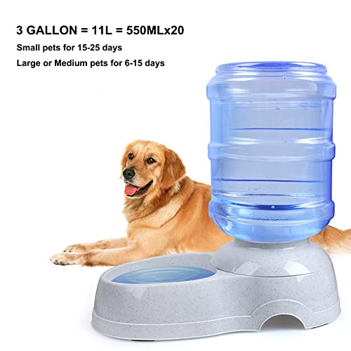 Pet Water Dispenser Station
