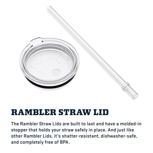 Rambler 25 oz Tumbler with Handle and Straw Lid