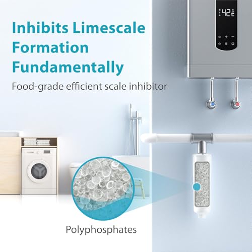 AP431 Whole House Scale Inhibitor with Adapter