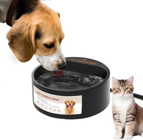 Heated Water Bowl for Outdoor Cats