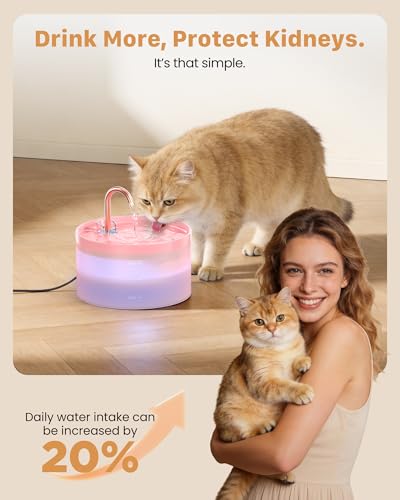 Cat Water Fountain Pink for Drinking