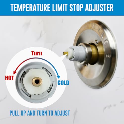 RP46074 Shower Cartridge