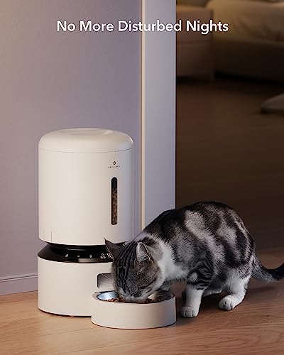 Automatic Cat Feeder