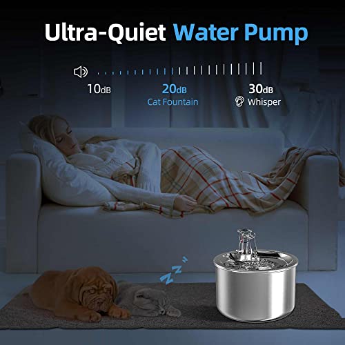 Cat Water Fountain